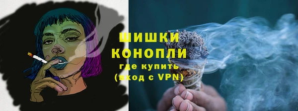 гидропоника Пересвет