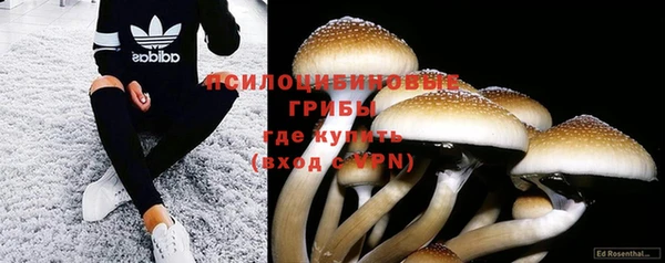 мдпв Богданович