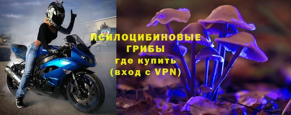 бошки Пестово