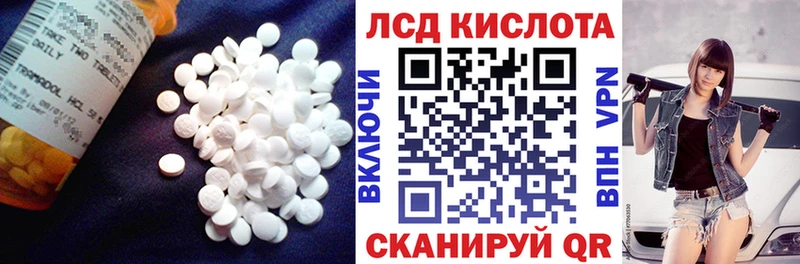Лсд 25 экстази ecstasy  Торопец 
