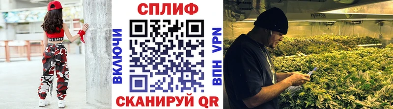 Бошки марихуана VHQ  нарко площадка как зайти  Торопец  как найти закладки 